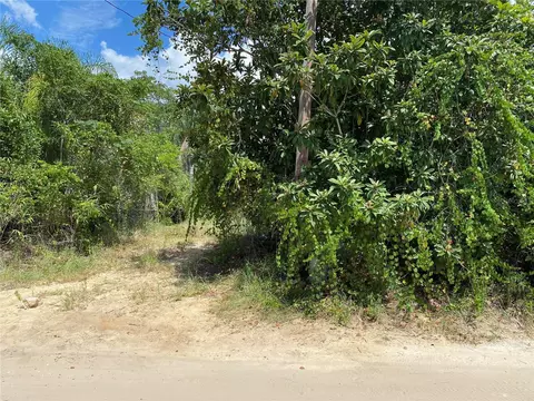 14211 SE 202nd Ter, Umatilla, FL 32784