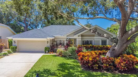 2944 Spring Oak Ct, Palm Harbor, FL 34684