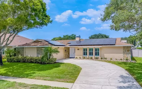 1695 Sand Hollow Ln, Palm Harbor, FL 34683