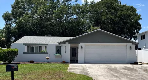 7537 Armand Cir, Tampa, FL 33634