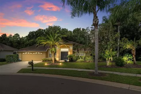850 Crestridge Cir, Tarpon Springs, FL 34688