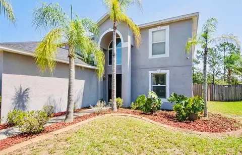 845 Rocky Mountain Ct, Valrico, FL 33594