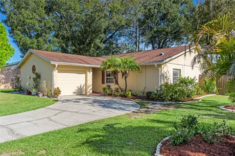 14113 Arbor Hills Rd, Tampa, FL 33625