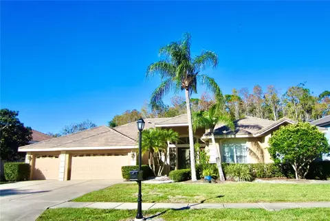 1538 Lockmeade Pl, Oldsmar, FL 34677