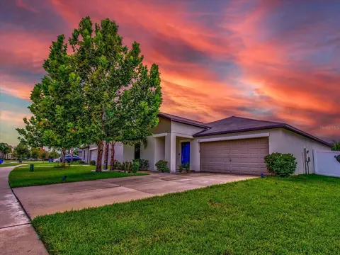 14113 Covert Green Pl, Riverview, FL 33579