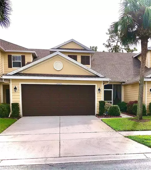 20125 Indian Rosewood Dr, Tampa, FL 33647
