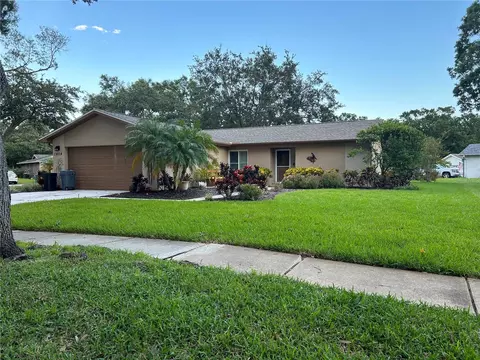 1454 Queen Anne Blvd, Palm Harbor, FL 34684