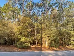 202 Court Ct SW, Dunnellon, FL 34431
