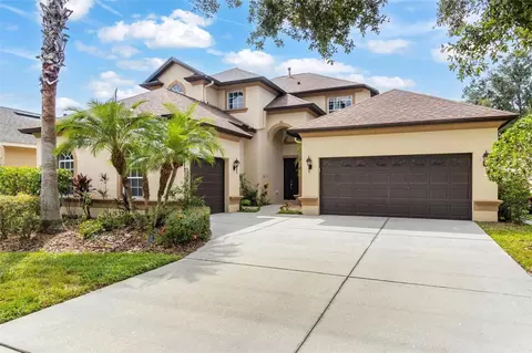20404 Walnut Grove Ln, Tampa, FL 33647