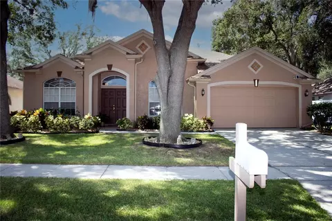 3805 Hollow Wood Dr, Valrico, FL 33596