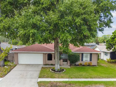 3528 Snowy Egret Ct, Palm Harbor, FL 34683