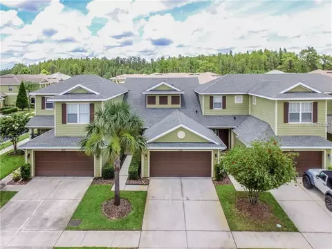 8542 Sandpiper Ridge Ave, Tampa, FL 33647