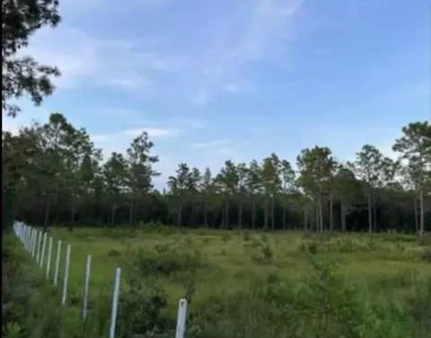 12505 SW 91st Ln, Ocala, FL 34481