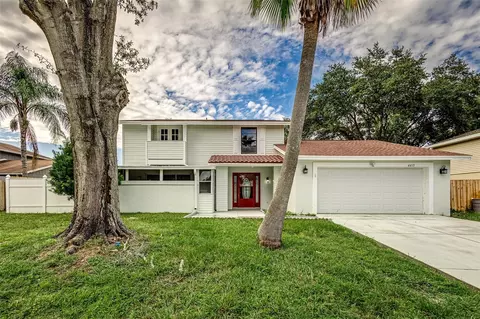 4413 Akita Dr, Tampa, FL 33624