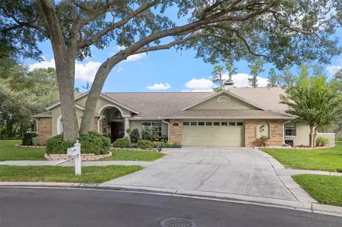 5707 Piney Lane Dr, Tampa, FL 33625