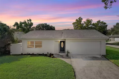 2384 Orangepointe Ave, Palm Harbor, FL 34683