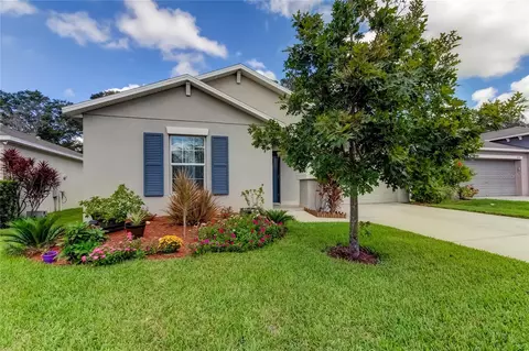 10238 Strawberry Tetra Dr, Riverview, FL 33578