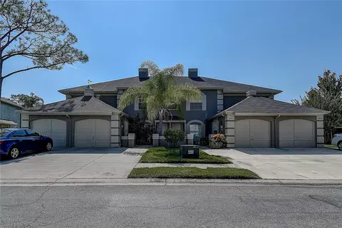 14073 Trouville Dr, Tampa, FL 33624