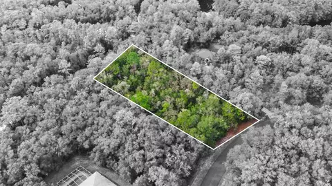 10270 N Natchez Loop, Dunnellon, FL 34434
