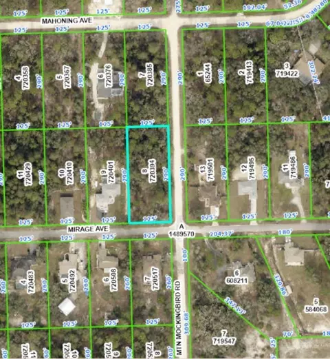 0 Mountain Mockingbird Rd, Weeki Wachee, FL 34614