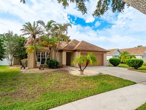 3122 Cara Ct, Palm Harbor, FL 34684