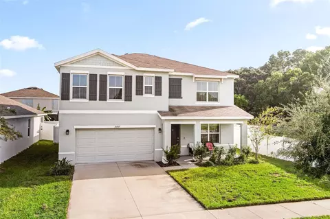 10203 Golden Light Ct, Riverview, FL 33578 photo 1
