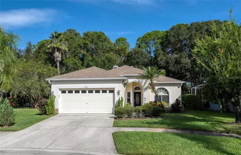 12815 Killarney Ct, Odessa, FL 33556