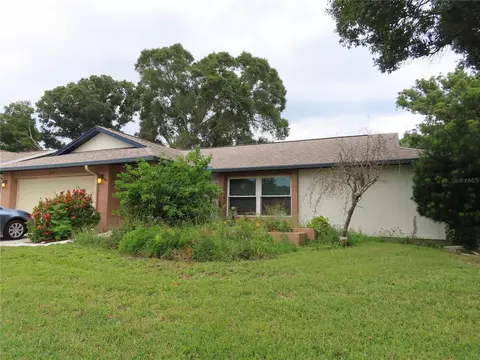 3075 E Dorchester Dr, Palm Harbor, FL 34684