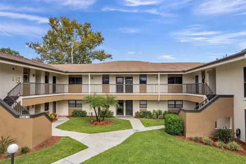 2700 Nebraska Ave #5-203, Palm Harbor, FL 34684