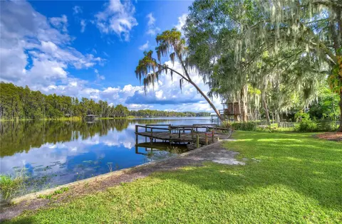 21872 Pineywood Loop, Land O Lakes, FL 34639