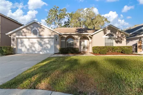 12824 Big Sur Dr, Tampa, FL 33625