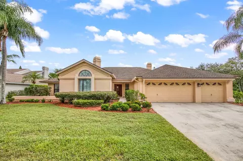 15101 Elmcrest St, Odessa, FL 33556