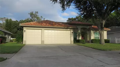 1623 Haywick Ter, Dunedin, FL 34698