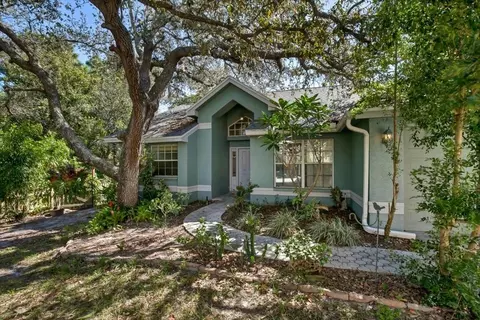 4811 Klosterman Oaks Blvd, Palm Harbor, FL 34683