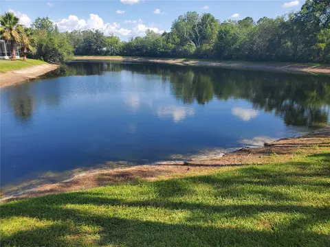 6604 Magnolia Point Dr, Land O Lakes, FL 34637