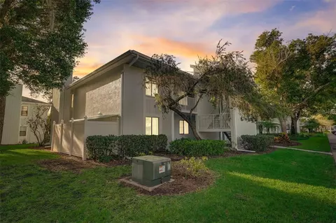 117 Martha Ln, Oldsmar, FL 34677