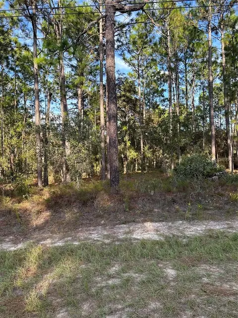7827 N Vivian Way, Citrus Springs, FL 34434