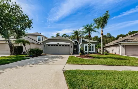 14530 Weeping Elm Dr, Tampa, FL 33626