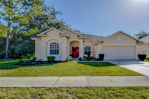 428 Quane Ave, Spring Hill, FL 34609