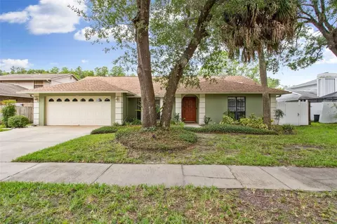 12914 Rain Forest St, Temple Terrace, FL 33617