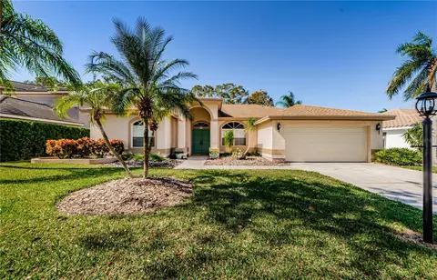 944 Belted Kingfisher Dr S, Palm Harbor, FL 34683