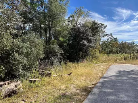 SW Azalea Court, Dunnellon, FL 34431
