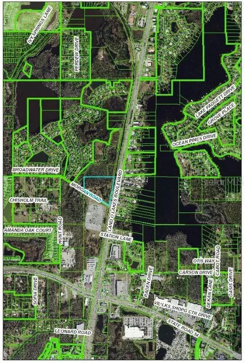 21201 Morgan Rd, Land O Lakes, FL 34638