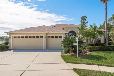 11428 Wedgemere Dr, Trinity, FL 34655