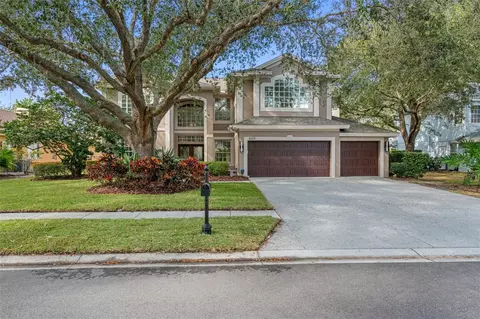 4059 Ligustrum Dr, Palm Harbor, FL 34685