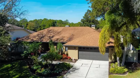 2940 Country Woods Ln, Dunedin, FL 34698
