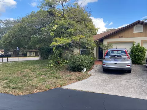 3695 Peter Ct, Palm Harbor, FL 34684