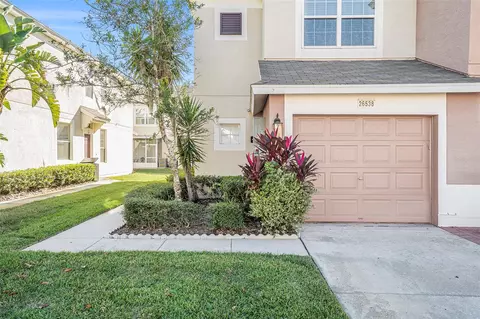26538 Castleview Way, Wesley Chapel, FL 33543