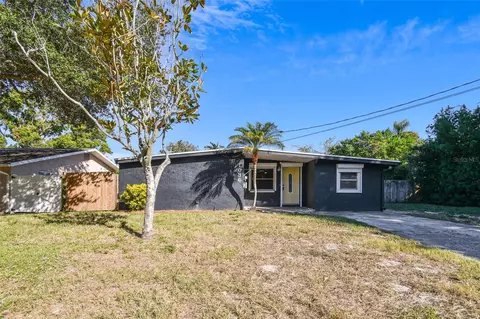 1036 Mary Jane Ln, Dunedin, FL 34698