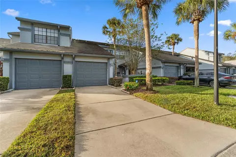 4216 Brentwood Park Cir, Tampa, FL 33624